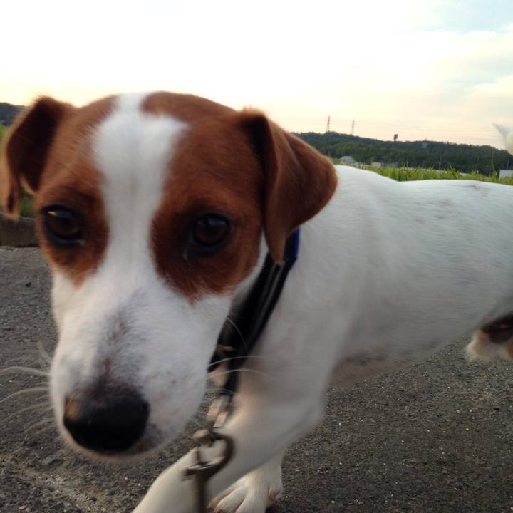 2d6828cd f496 42c1 a3c1 ef9bb95571e1