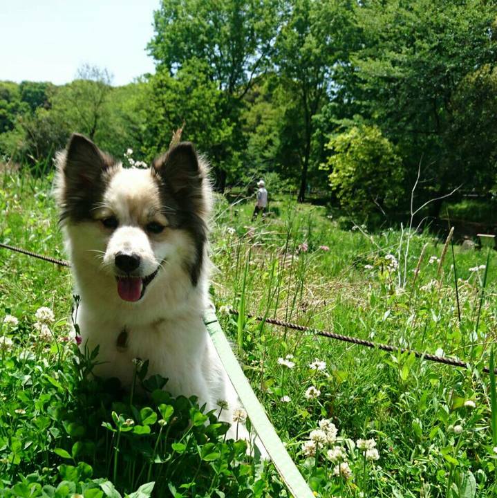 2d684def 77a1 4949 b4a6 2c9846f1b220