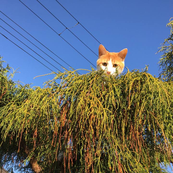 2d6878dd 89bb 484e bbcf d958abb617a8