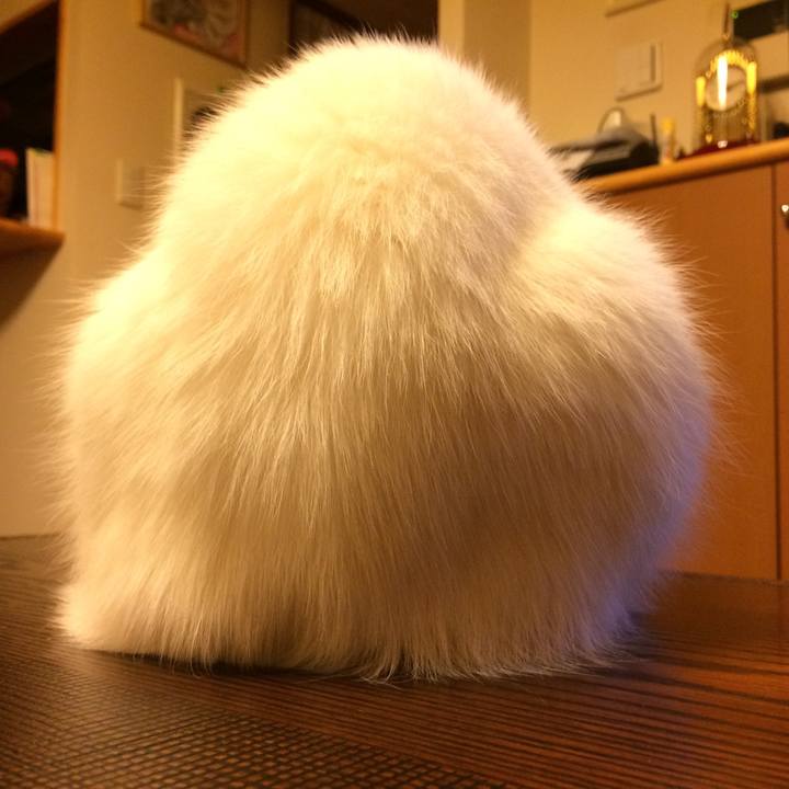 2d690e71 55ef 4394 9f02 5be617cfddb4