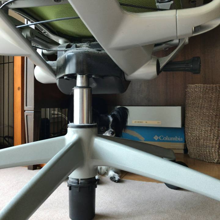 2d6b0965 580d 48cd 8ef0 961abf70d56f