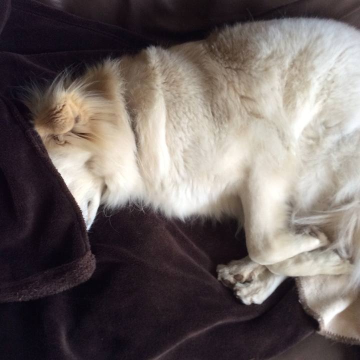 2d6b9217 7d30 4f6d 92a1 4340e663effe