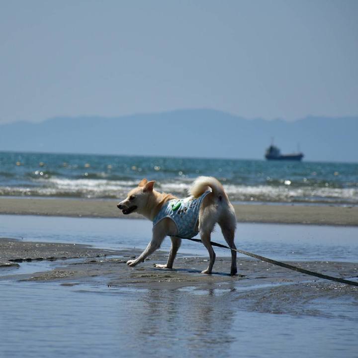 2d6c77be 710d 40a7 b098 60c2f83532a0