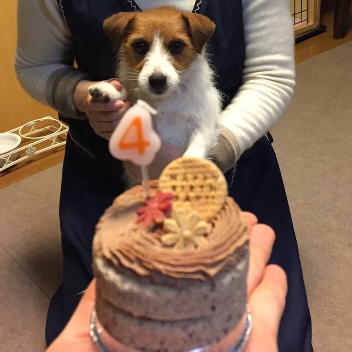 2d6cf336 6886 46fe 9dad 23badcbe64b4