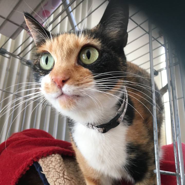 2d6df1ab 3c6b 4ca2 980a 2652d8ed8355