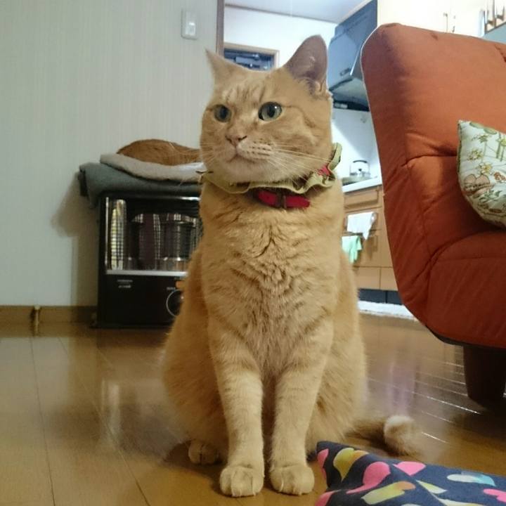 2d6e0372 04e8 44d8 84cb 82662da64de5