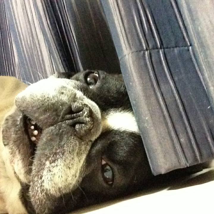 2d6eda30 f7dc 4a3d 88c0 c3fe02137955