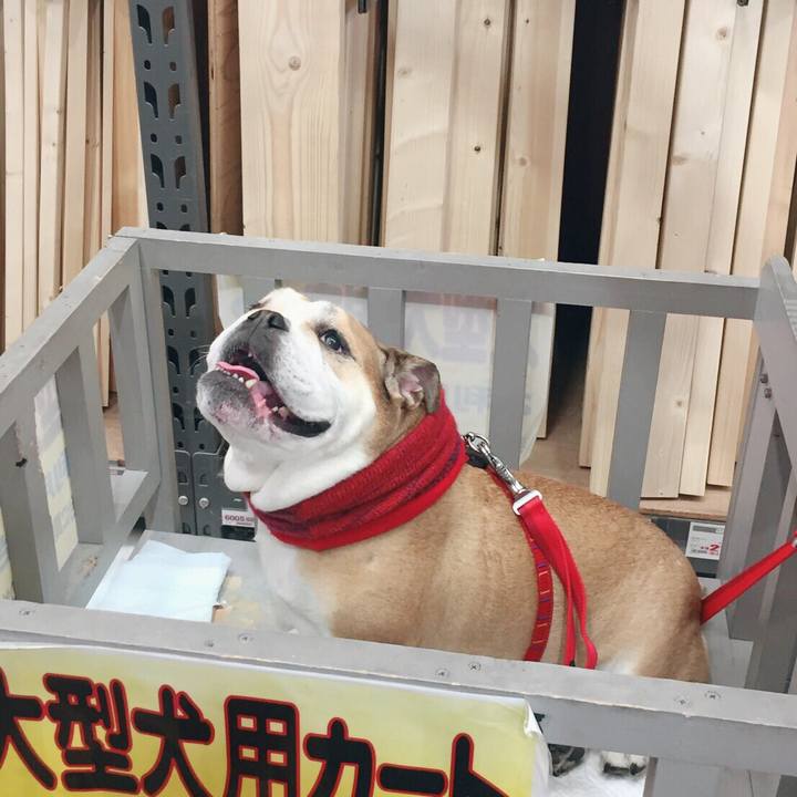 2d6f4d60 bb62 4b11 ba20 79ca3c7e6d60