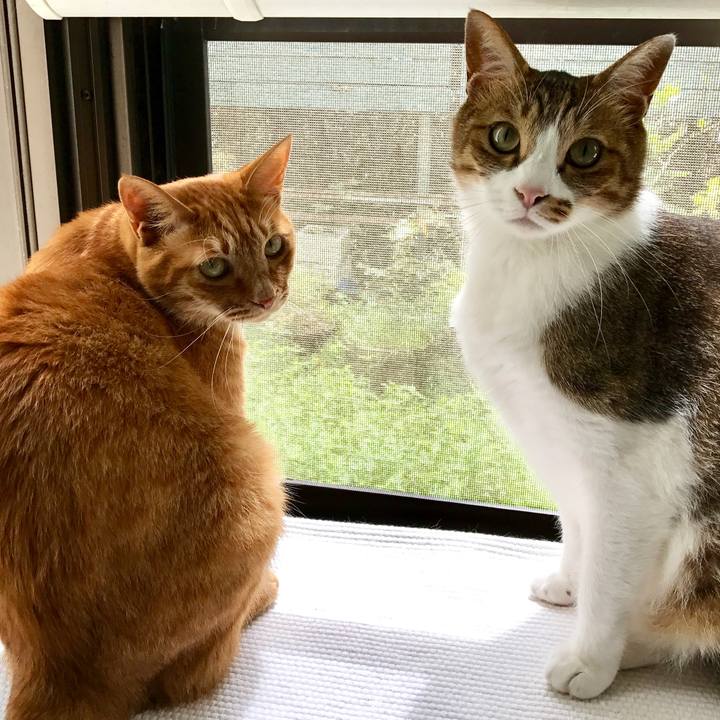 2d6fbe1d 2cb1 4b66 a240 6573619dc934