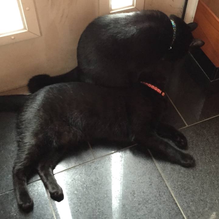 2d7015e2 8fd2 4f64 afc6 1f89400ffafe