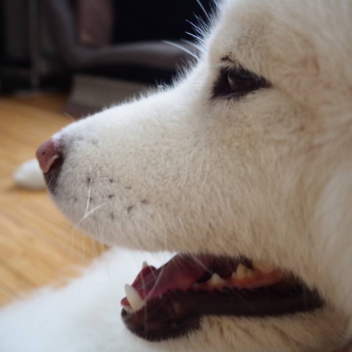 2d70504a 2969 45ec bbe5 2a1c7e04f05e