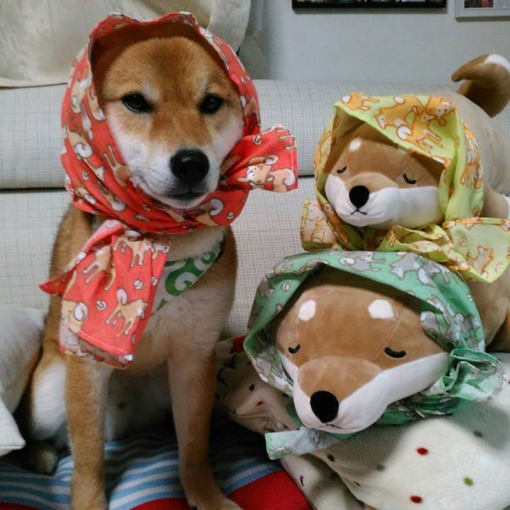 2d708a8e 8cec 4d5a b642 d17182e9b0cc