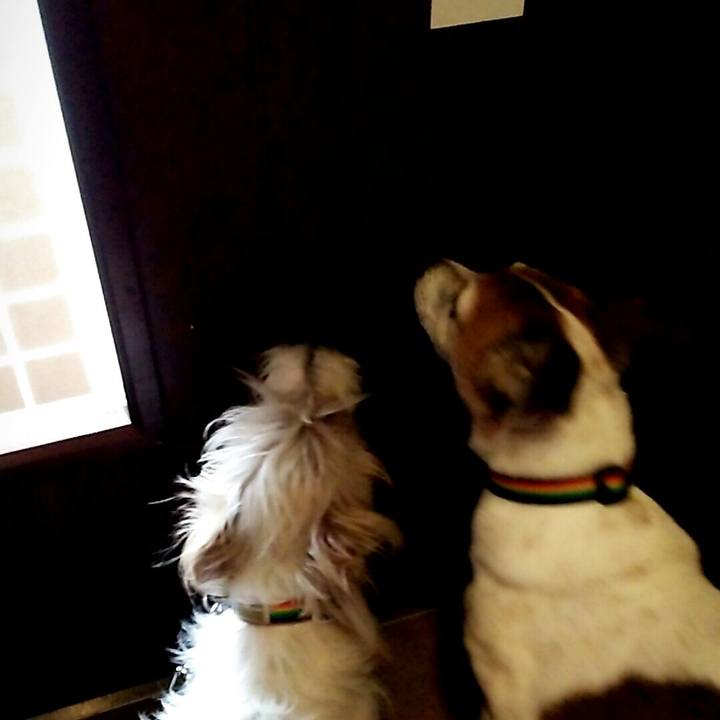 2d719235 f60b 44c8 a98d a83e618b6296