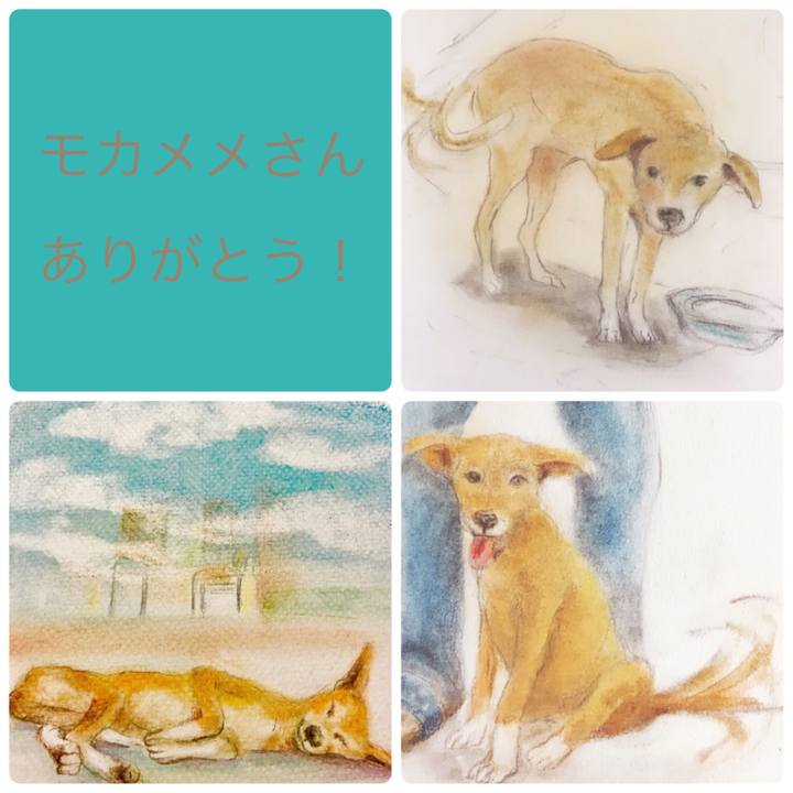 2d719cc2 5b44 439e a972 71ec7dd6ccf6