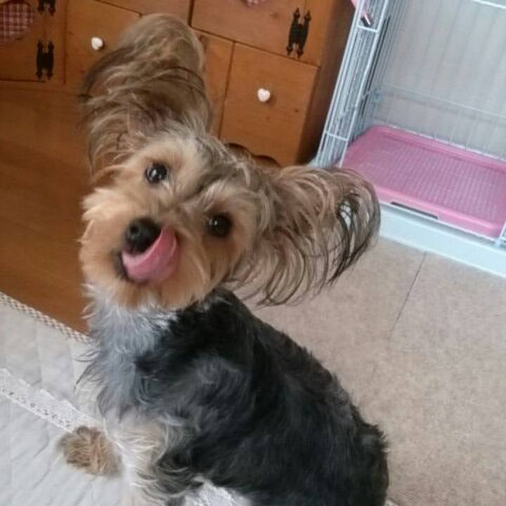 2d71c7fd 1339 4ea2 9af5 83c3b6c754de