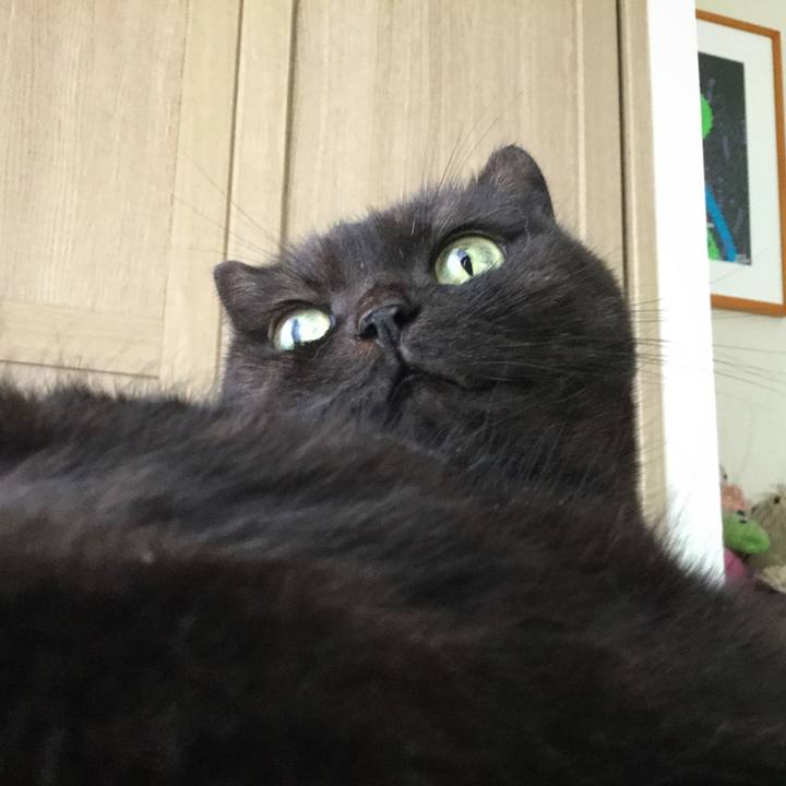 2d723f08 596b 4733 9d8c f54db28b2df2