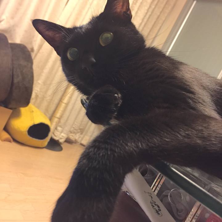 2d7245a1 7889 4341 977d c5c1e6303623