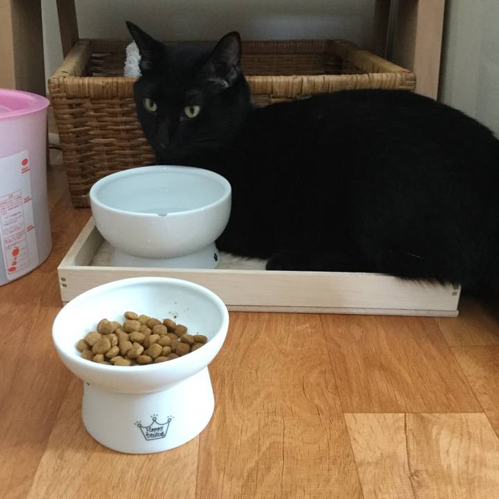 2d733fea 932d 44bf b331 2cfa5cb6ce9a