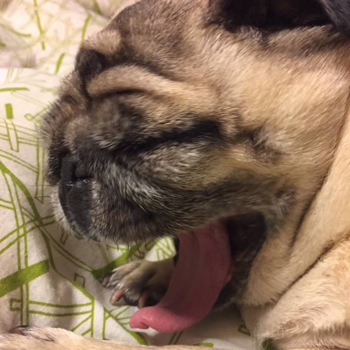 2d735b4f f248 47af b98b 29cfd6227e10