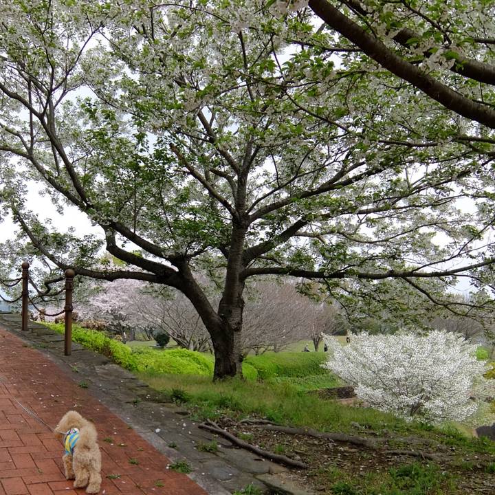 2d742c6d 40c9 4079 af59 3eb357a7db7c