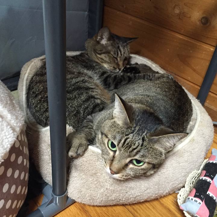 2d74726f 0e4f 4c2e a8a1 2a8da64d3a38