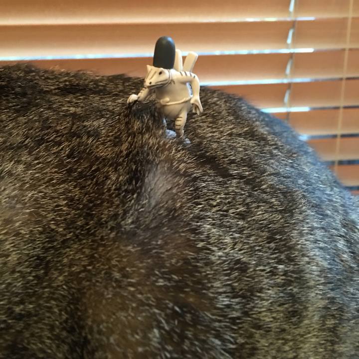 2d75756d 6a6a 44f3 a67f 1a3166ba785c