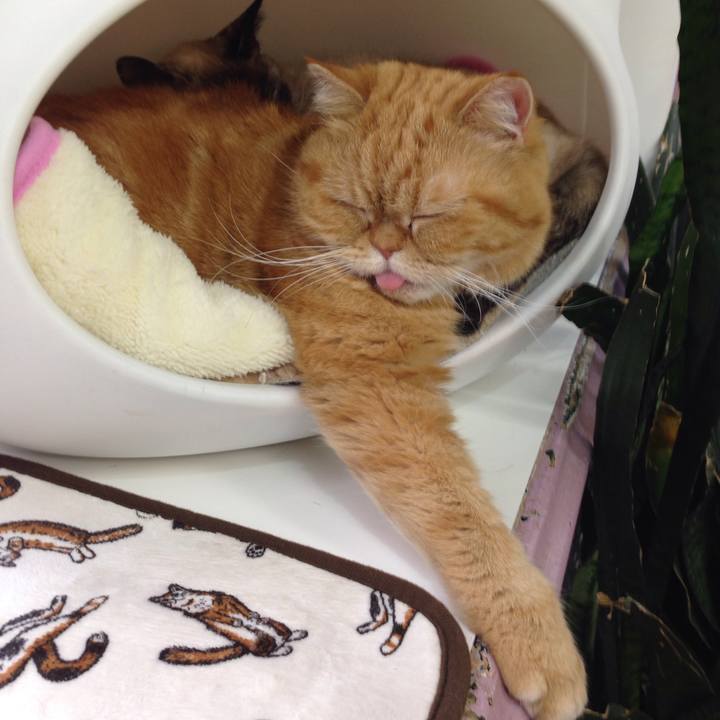 2d757735 4345 4344 b52d dff69b47afdb