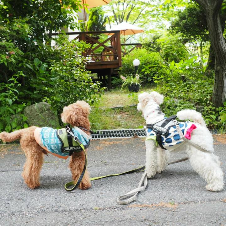 2d764ee8 ece3 4c08 92e9 b0073e23f8b1