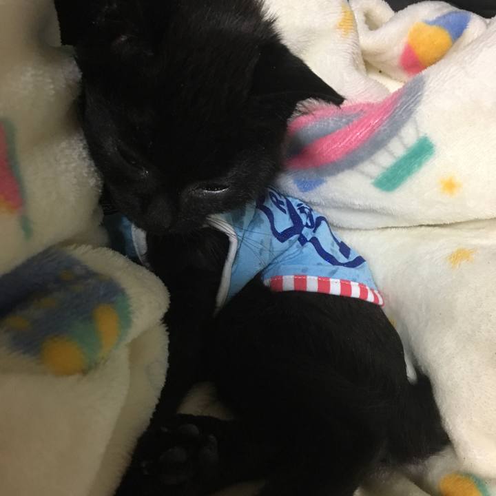 2d76b05c 5284 4f1f ac51 491e67a73eff