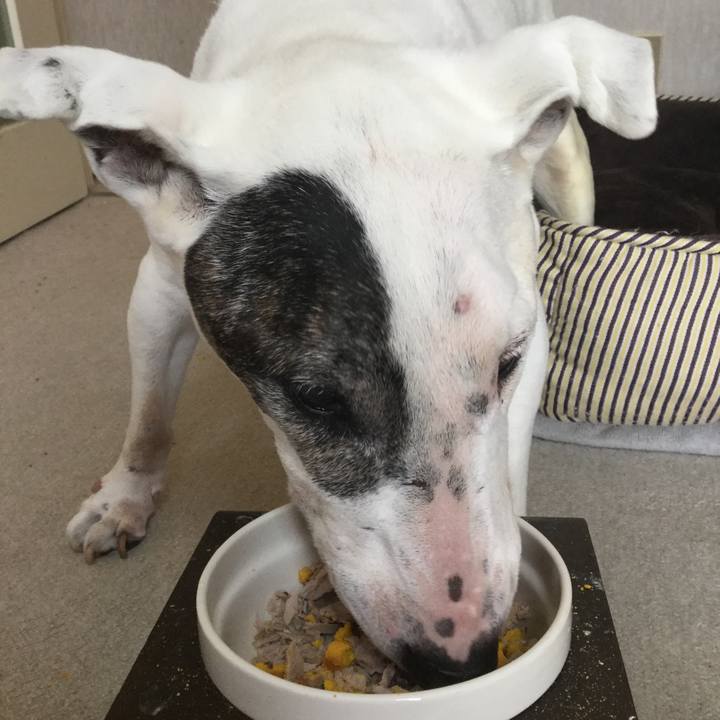 2d76e17a 22f6 43d9 a8d9 be2b51fa1b13