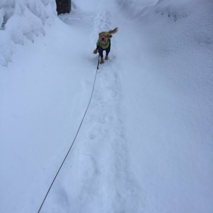 2d77a280 02f9 4038 88de 18e15638b23d