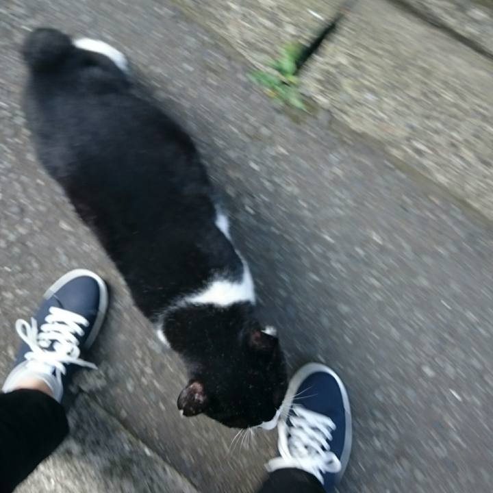 2d7883d5 96fd 4598 b2e5 8f0ed8d2b330