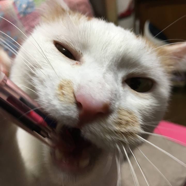 2d78a64d a241 4ef4 884c 207c24470d99