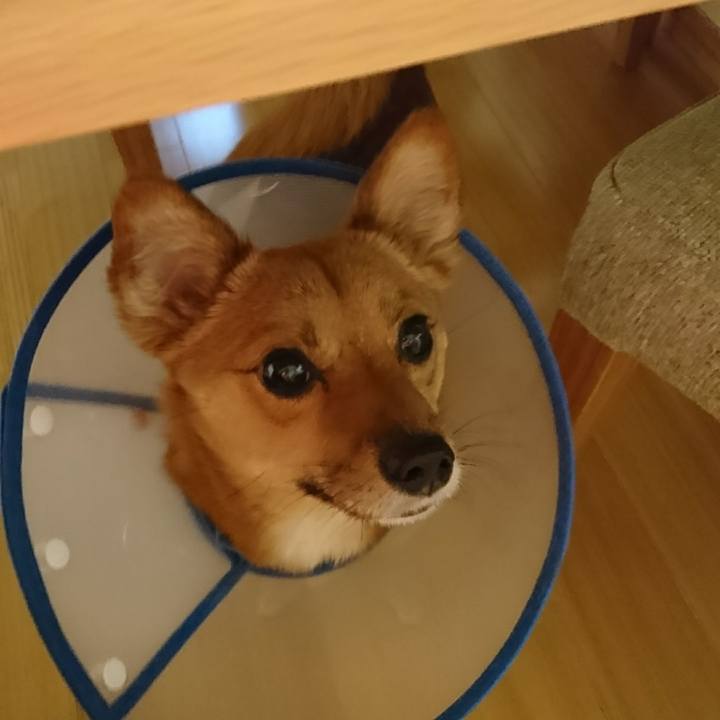 2d78c3a1 0aeb 4df2 8daa b123a8aea101