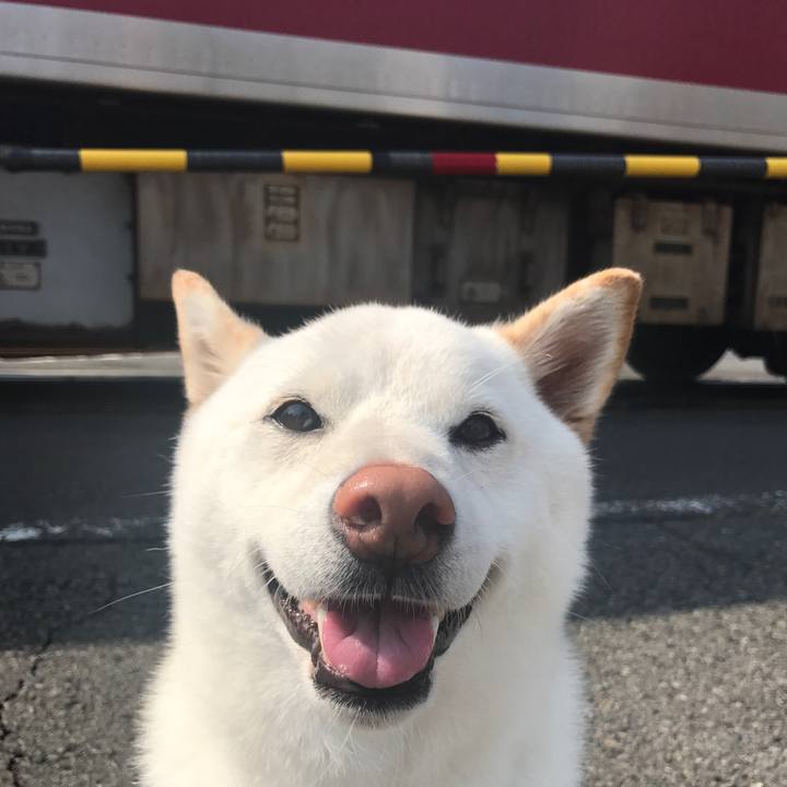 2d79c0b5 f2c4 4e52 89ff 32b8b6495c4c