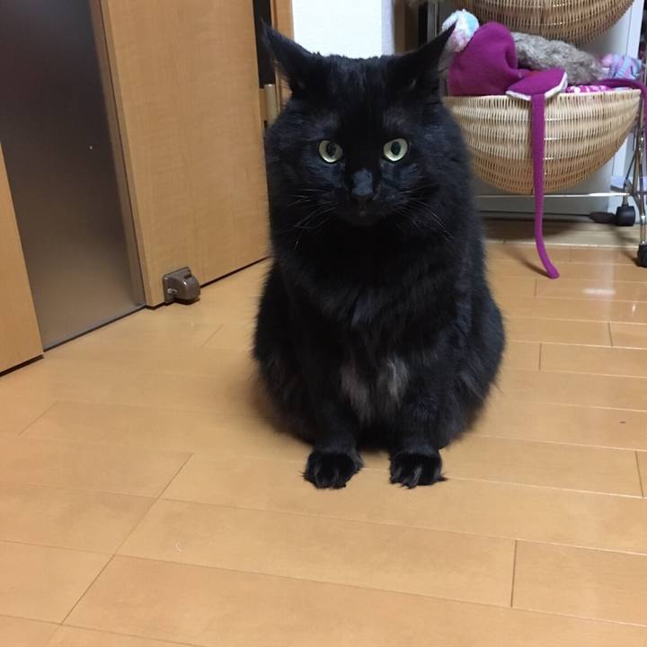 2d79c20f c11a 4da8 a462 fba5109550db