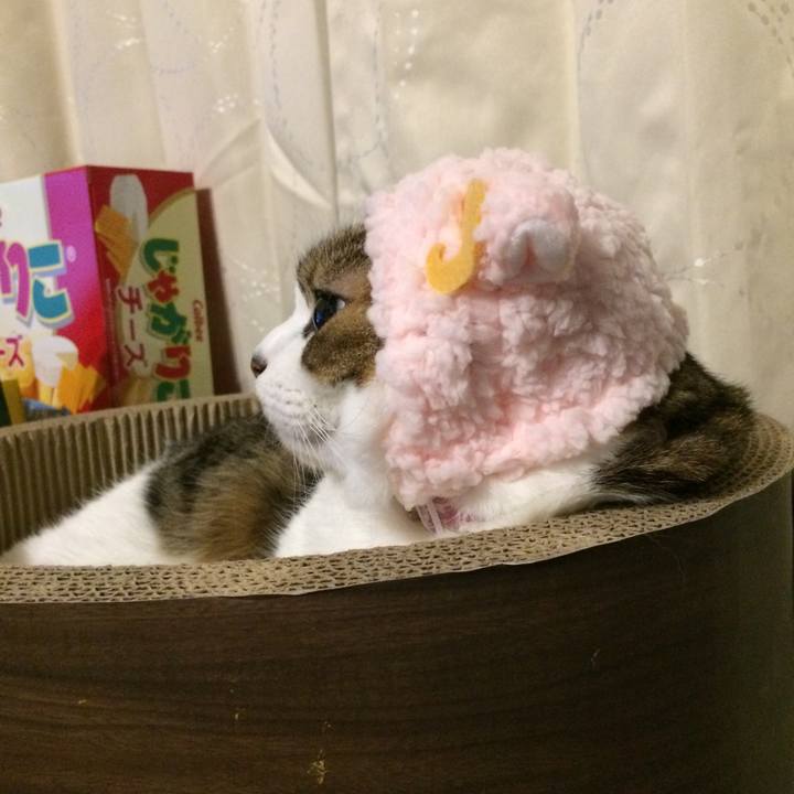 2d7a11bb bebb 4aa7 b881 a58a34a65020