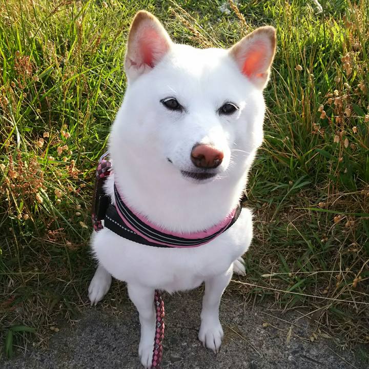 2d7a1537 b8b5 4149 9984 dc0ca8d160c9