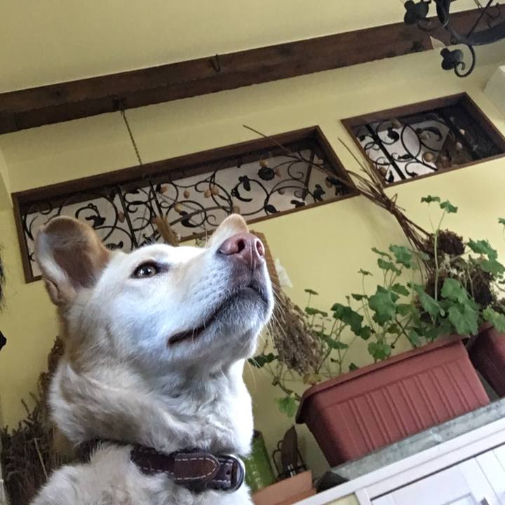 2d7a1c98 0a77 4a2c b2f0 a9d064966fd7