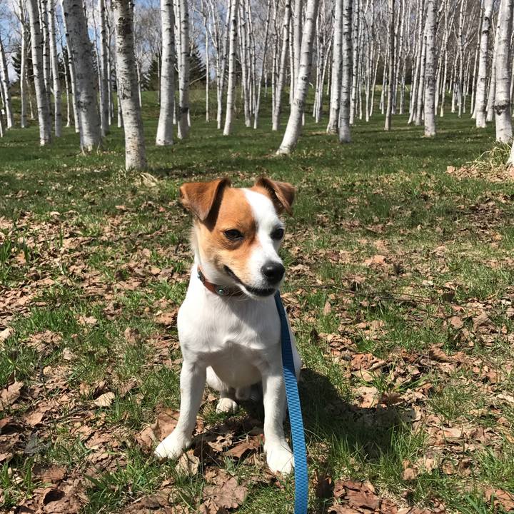 2d7a6474 86f5 4d37 99ab a83fbe58f4d6