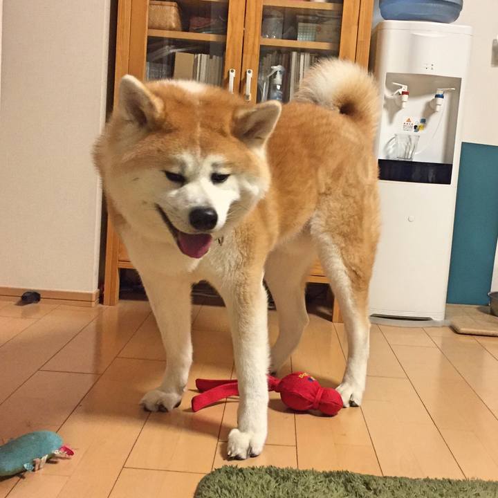 2d7a91d1 b381 4f15 b85e 0006f683825b