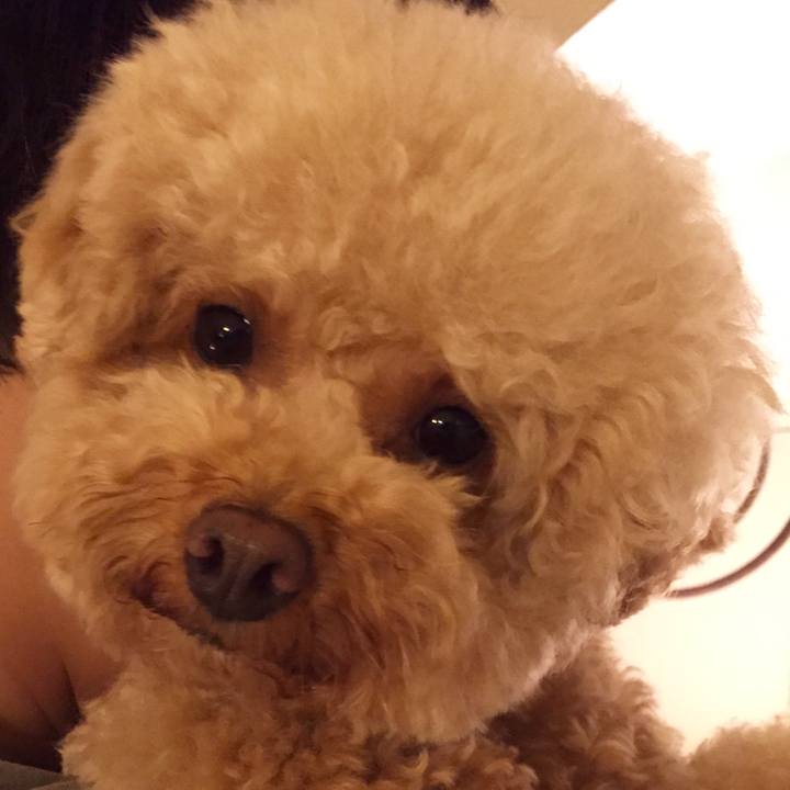 2d7ac5e5 5763 4353 b89c cf425bc3061a