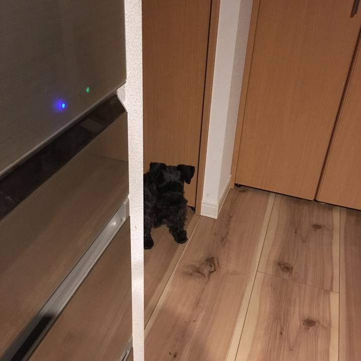 2d7b2909 c95d 4962 9761 d79b2a7cf18d