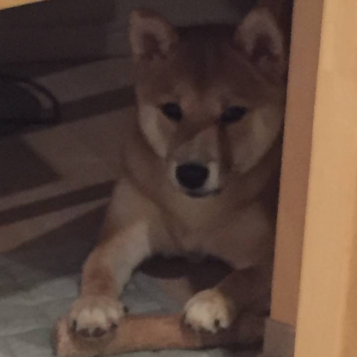 2d7c2d9b 5f5c 4353 ad72 de1ebe032f12