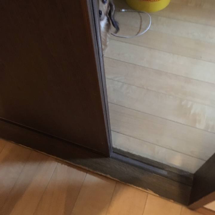 2d7c7194 2bbc 4991 bbe5 595447bfb1f8