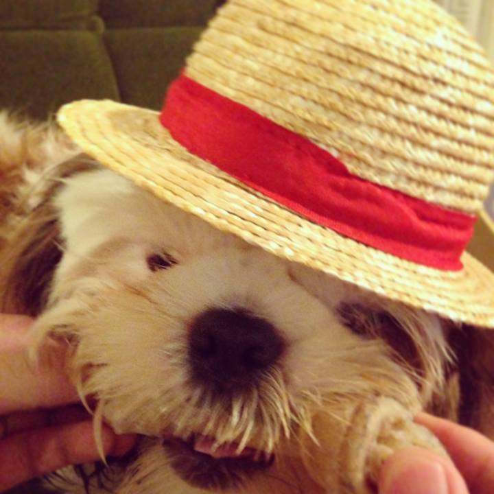 2d7cf4ea 86c9 4d5d 8c18 3d06693d1016