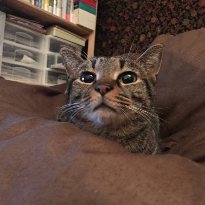 2d7e0a4a fb1e 4bd5 aa34 3ae3152d725e