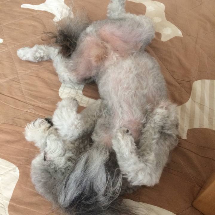 2d7ea398 4123 4e7e bdd6 762a1b25cf5c