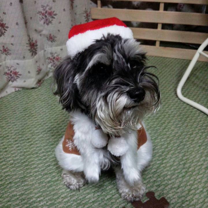 2d7ebce8 f7f1 420f 8066 0dbe3af6d512