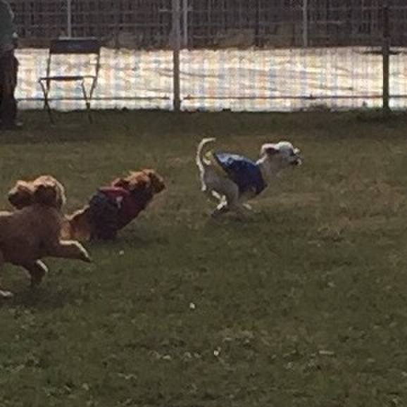 2d7f0937 d4c8 4172 bb8b b19e4734f661